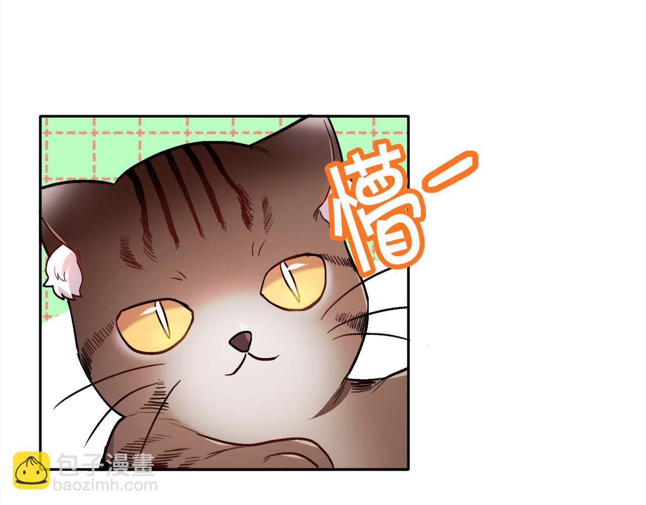 🍴精灵团宠小千金 第90话 宝石 第6页