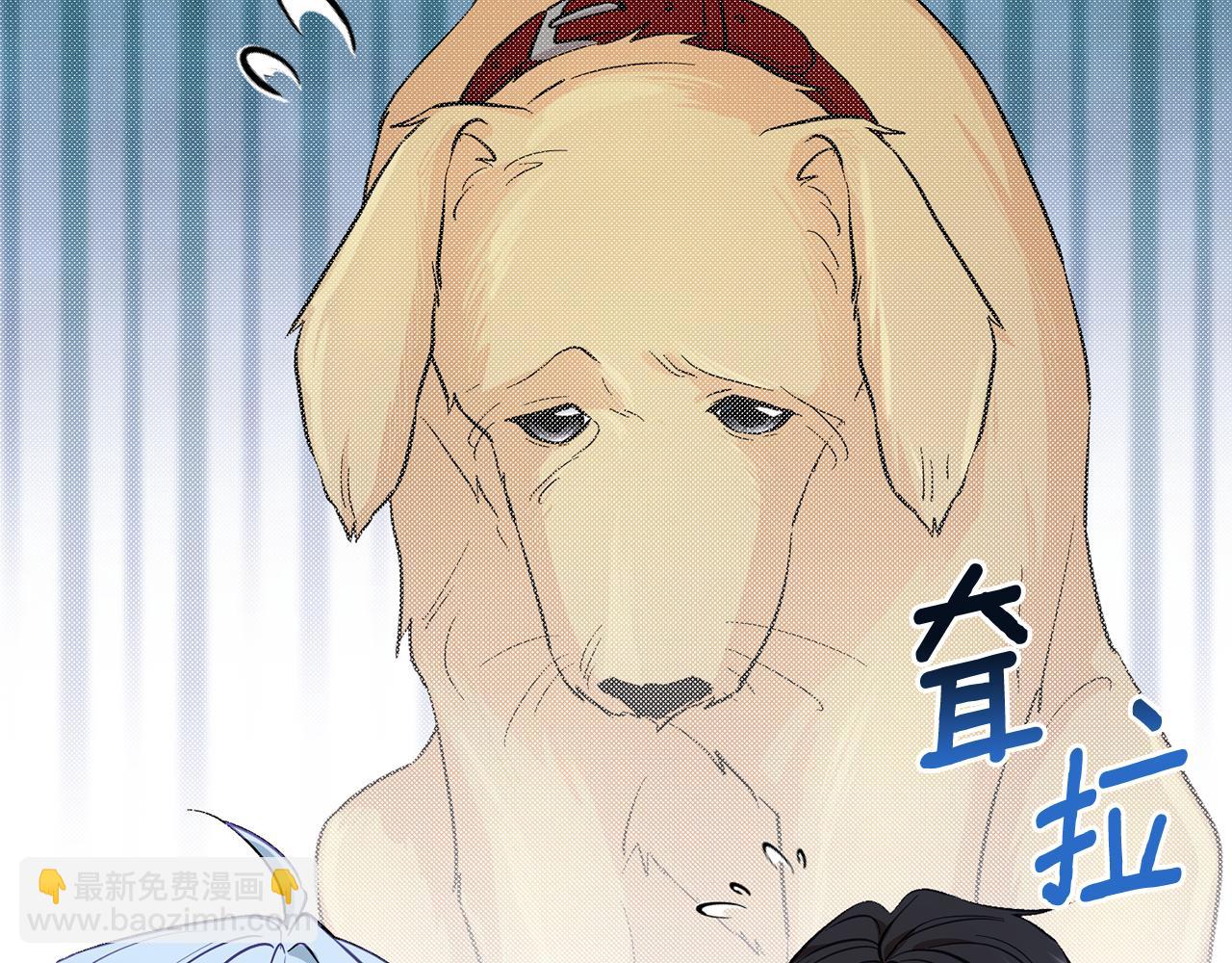 🍴精灵王女要跑路 第96话 剑术天才 第16页