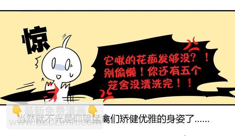 飞吧小少爷：梦想照进现实-第1话