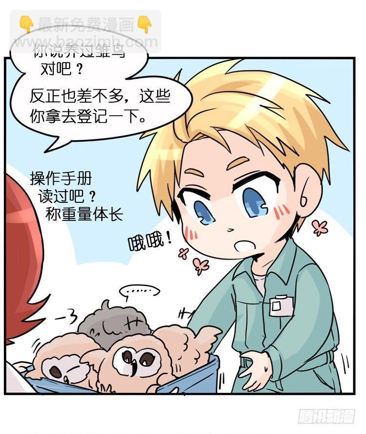 飞吧小少爷：梦想照进现实-第1话