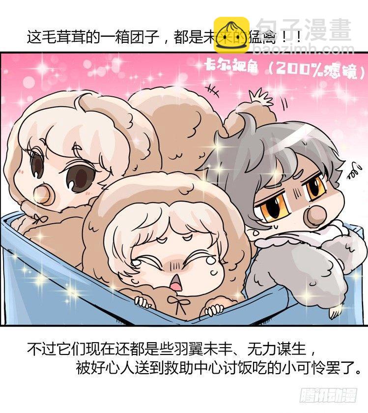 飞吧小少爷：梦想照进现实-第1话
