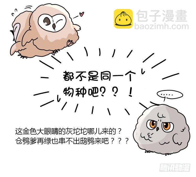 飞吧小少爷：梦想照进现实-第1话