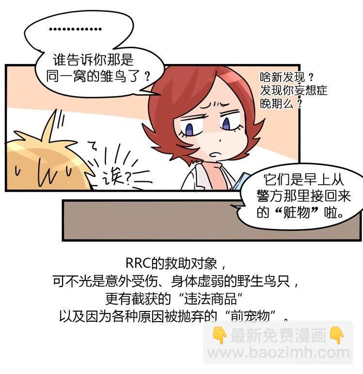 飞吧小少爷：梦想照进现实-第1话