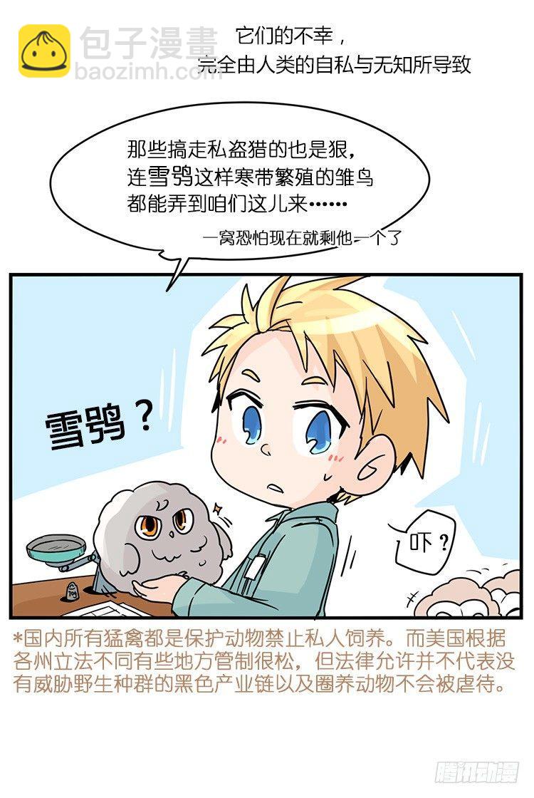 飞吧小少爷：梦想照进现实-第1话