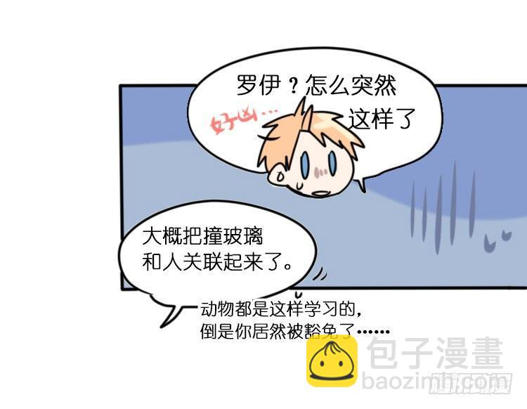 飞吧小少爷：心灵创伤？-第11话