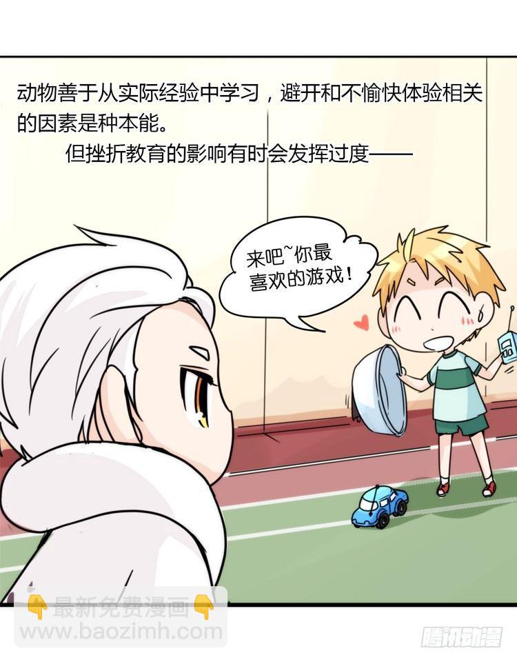 飞吧小少爷：心灵创伤？-第11话