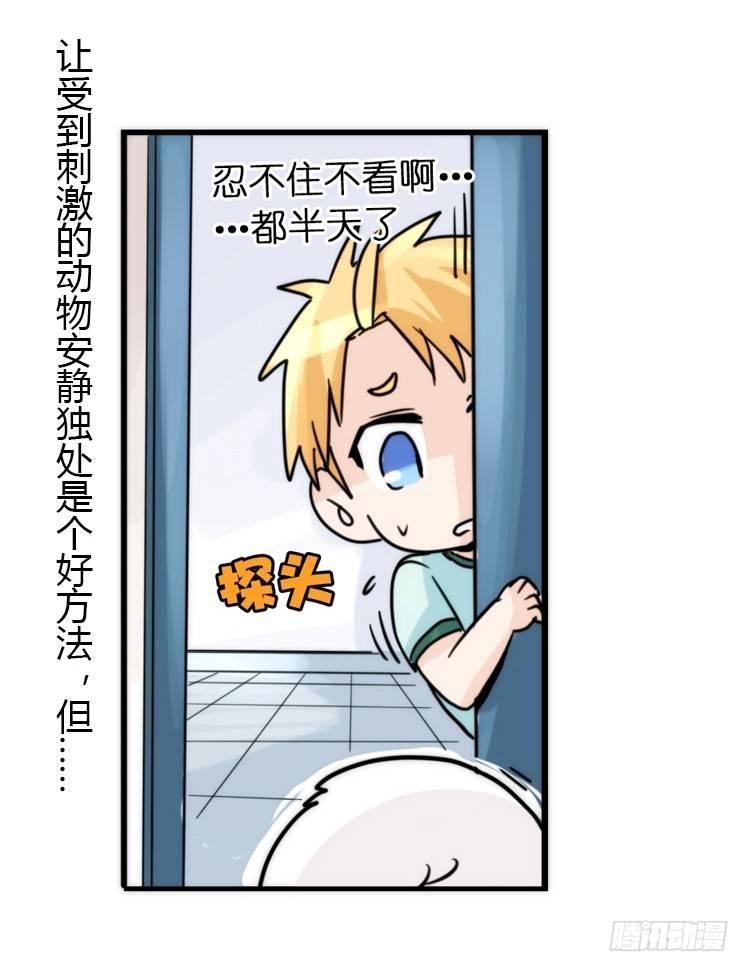 飞吧小少爷：心灵创伤？-第11话