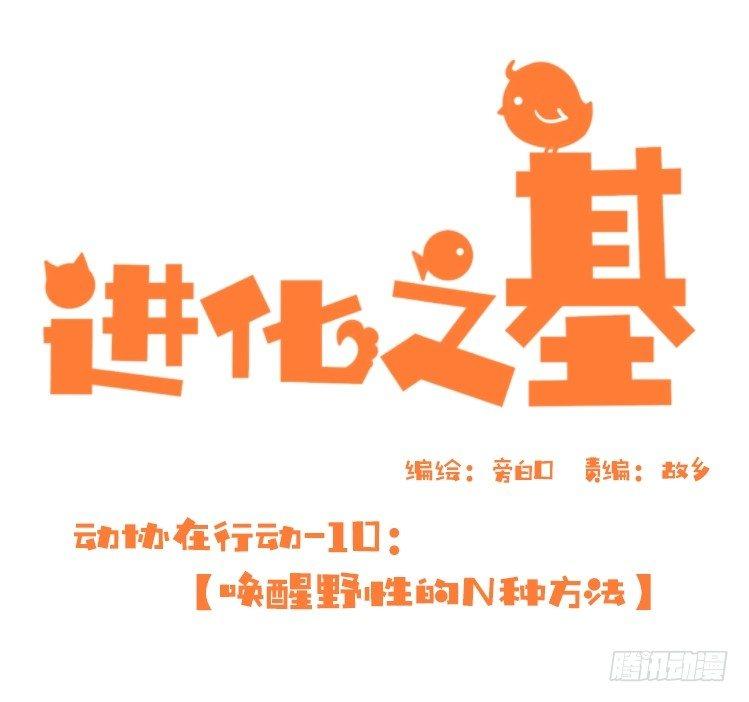 动协在行动10：召唤野性的方法-第103话