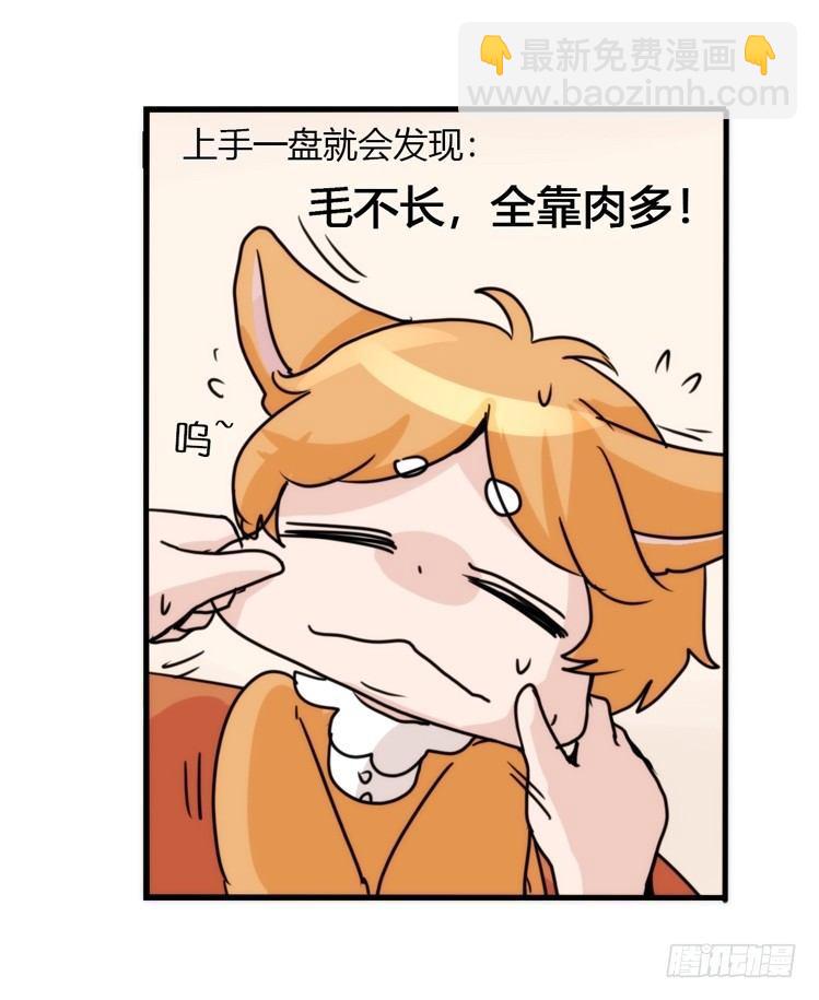 动协在行动10：召唤野性的方法-第103话