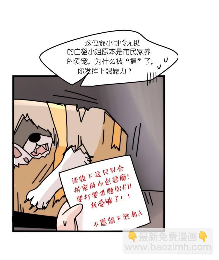 动协在行动：理想VS现实-第105话
