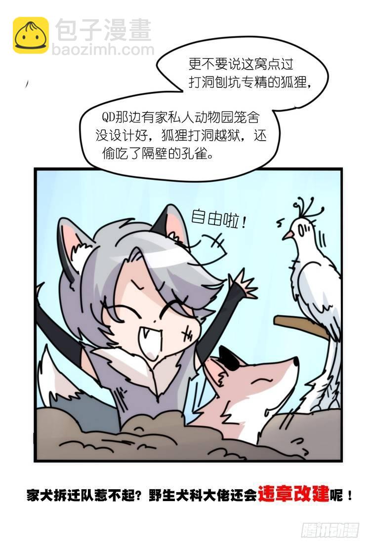 动协在行动：理想VS现实-第105话