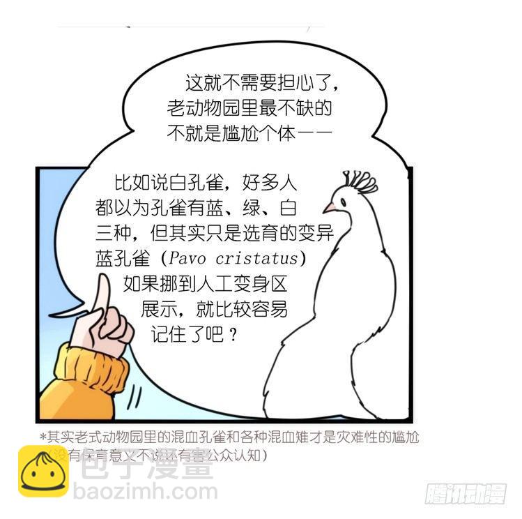 动协在行动：理想VS现实-第105话