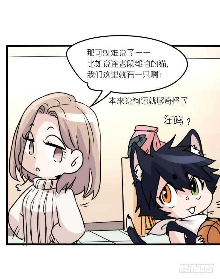 动协在行动16：动物界学渣（。）-第109话