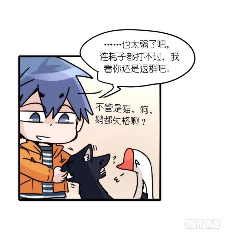 动协在行动16：动物界学渣（。）-第109话