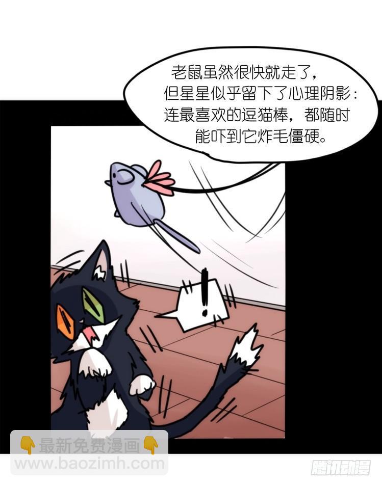 动协在行动16：动物界学渣（。）-第109话