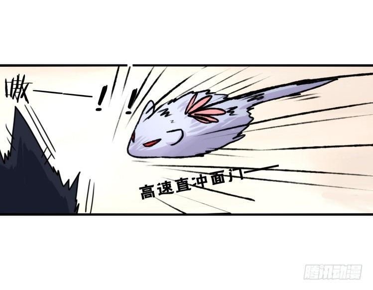 动协在行动16：动物界学渣（。）-第109话