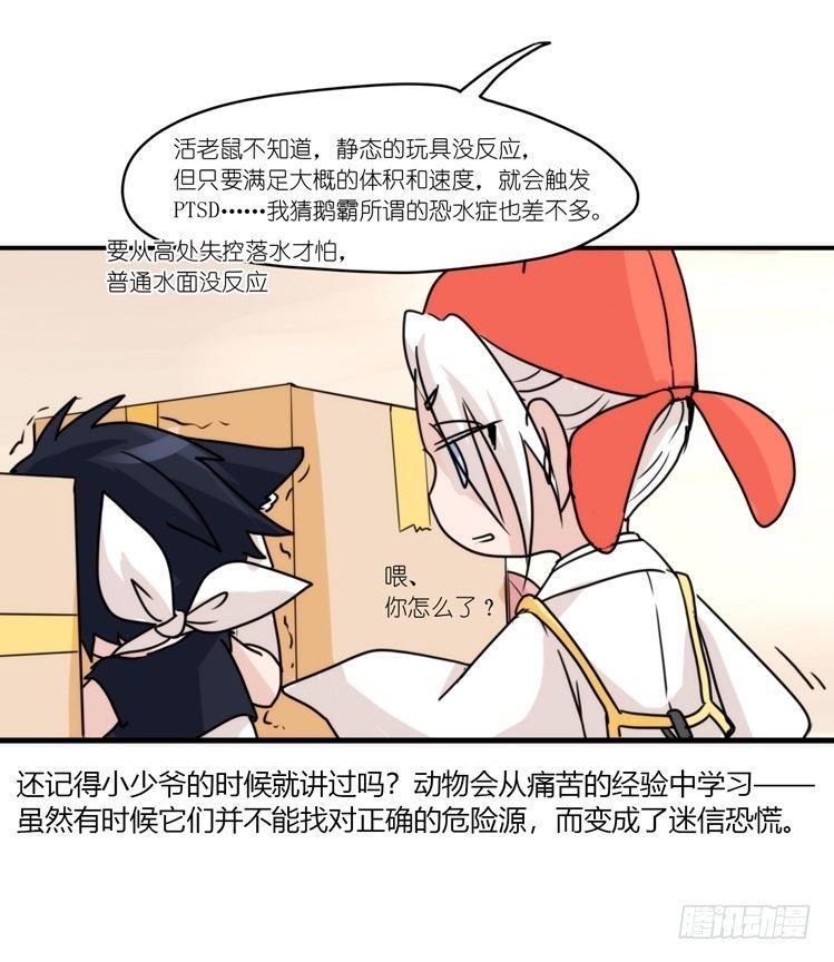 动协在行动16：动物界学渣（。）-第109话