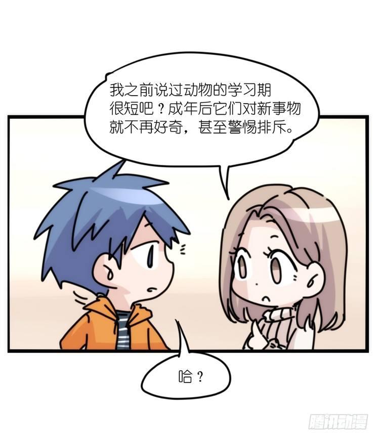 动协在行动16：动物界学渣（。）-第109话