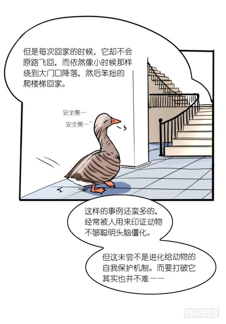动协在行动16：动物界学渣（。）-第109话
