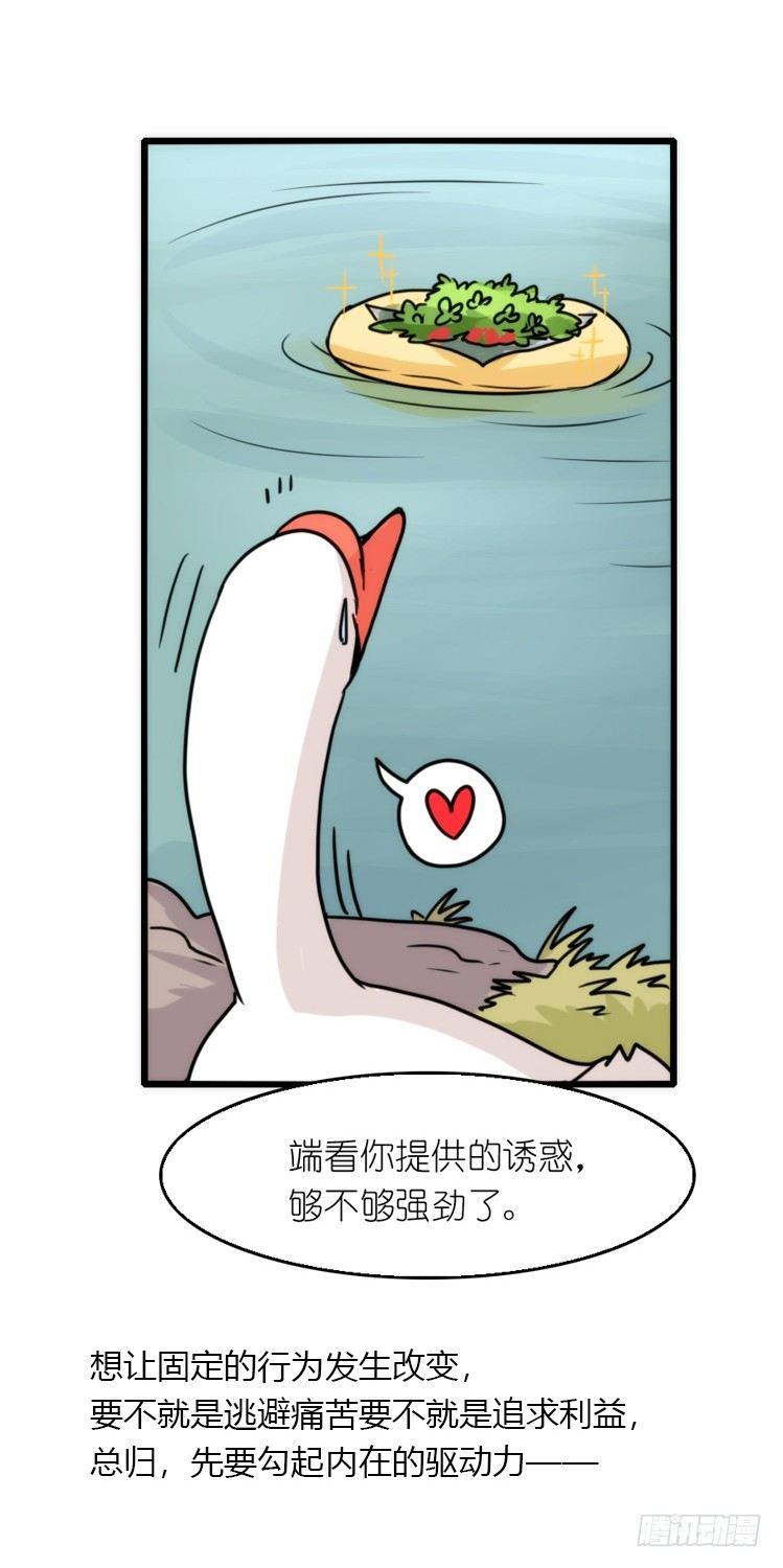 动协在行动16：动物界学渣（。）-第109话