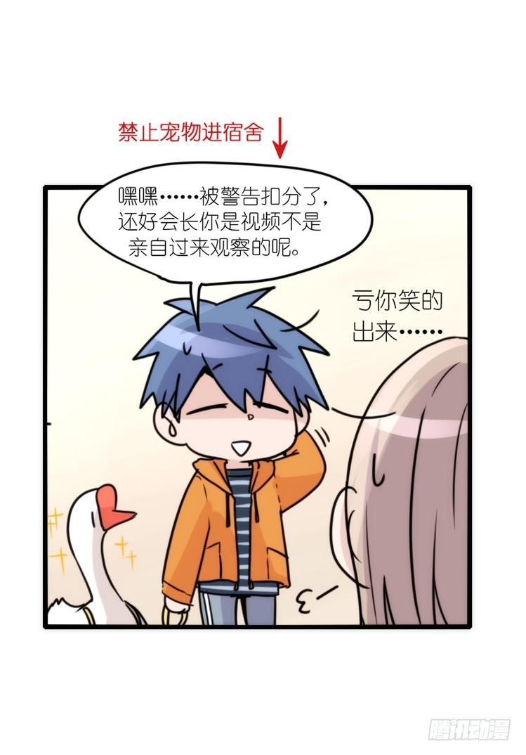动协在行动16：动物界学渣（。）-第109话