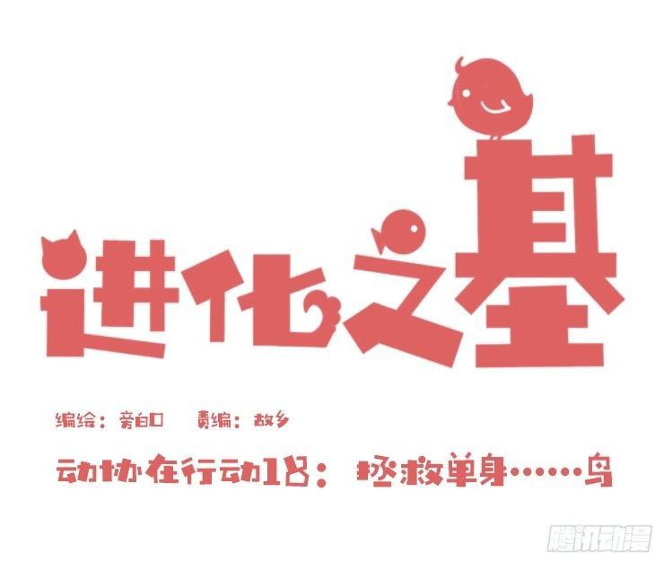 动协在行动18：拯救单身鸟-第111话