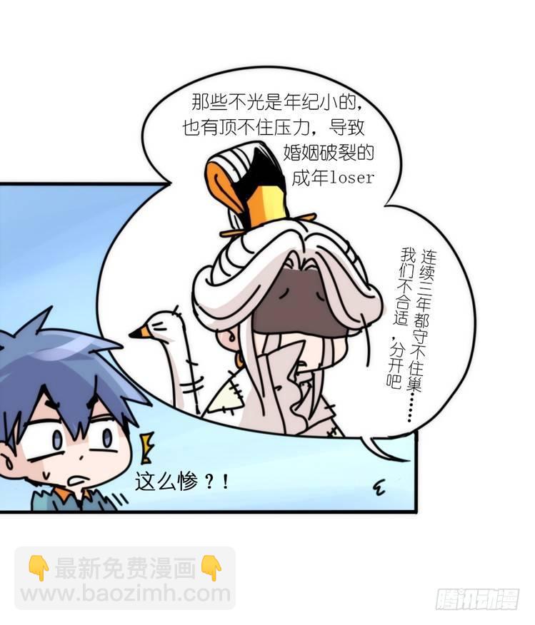 动协在行动18：拯救单身鸟-第111话