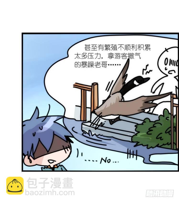 动协在行动18：拯救单身鸟-第111话