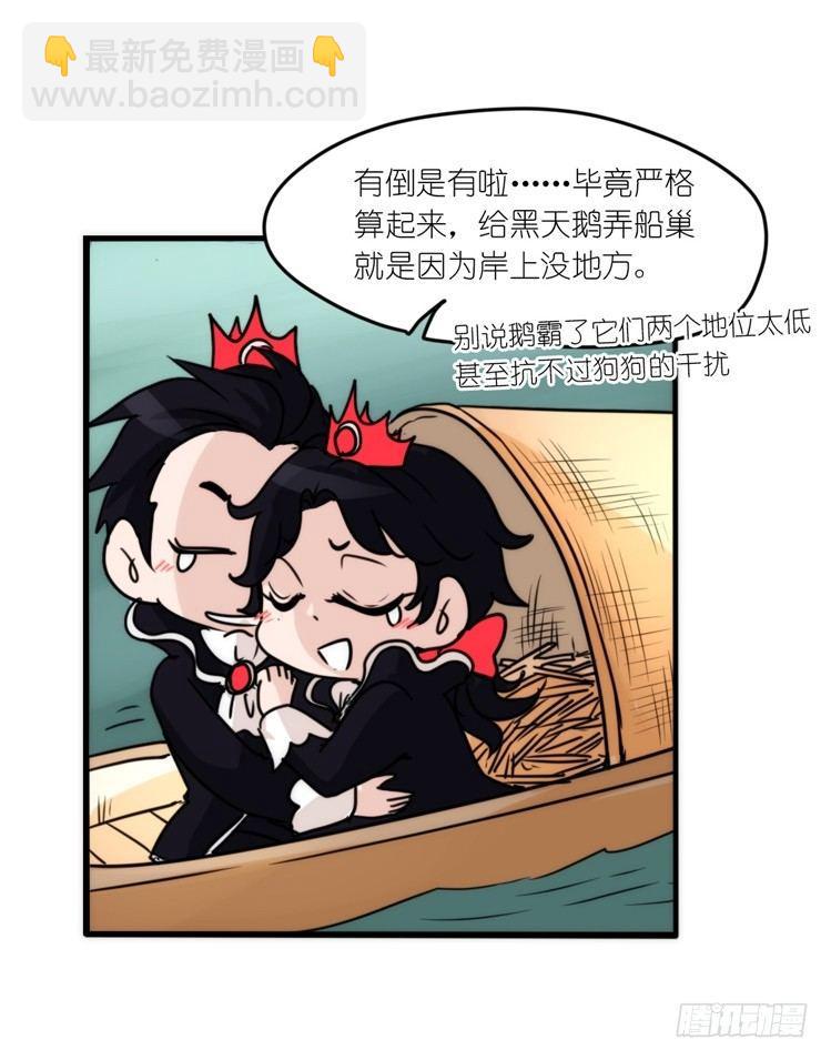 动协在行动18：拯救单身鸟-第111话