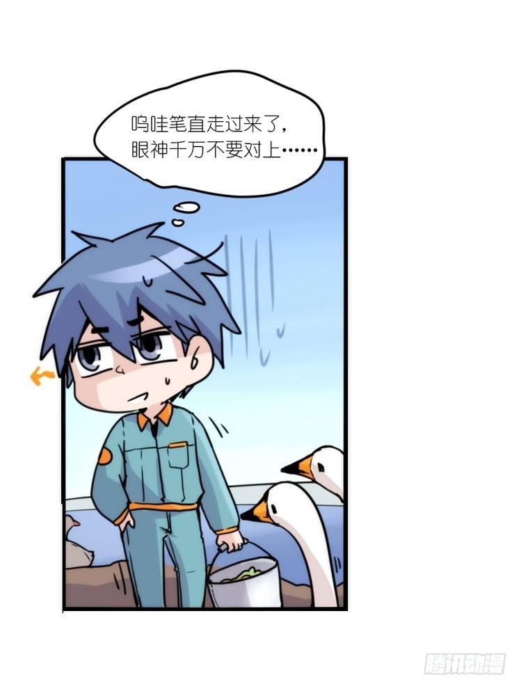 动协在行动18：拯救单身鸟-第111话