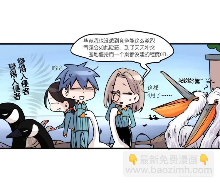 动协在行动18：拯救单身鸟-第111话