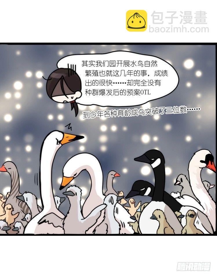 动协在行动18：拯救单身鸟-第111话
