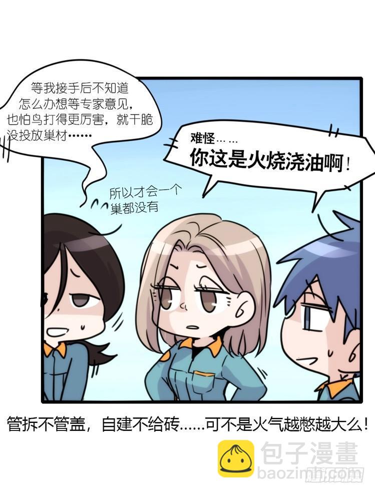 动协在行动18：拯救单身鸟-第111话