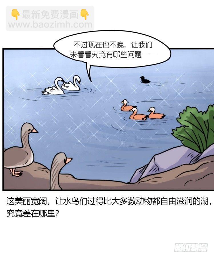 动协在行动18：拯救单身鸟-第111话