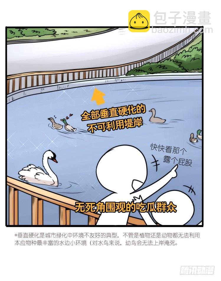 动协在行动18：拯救单身鸟-第111话