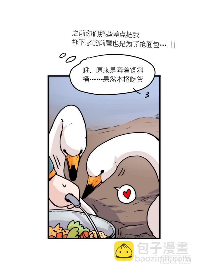 动协在行动18：拯救单身鸟-第111话
