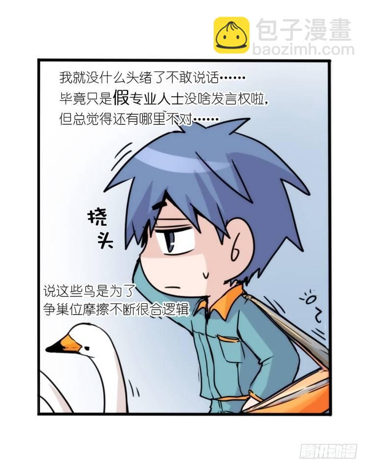 动协在行动18：拯救单身鸟-第111话