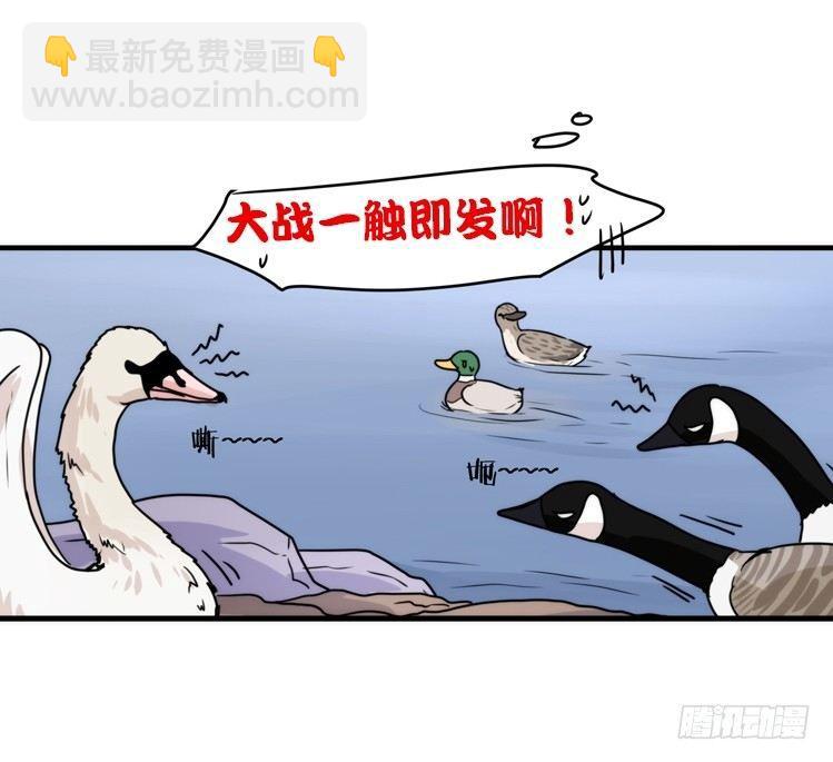 动协在行动18：拯救单身鸟-第111话