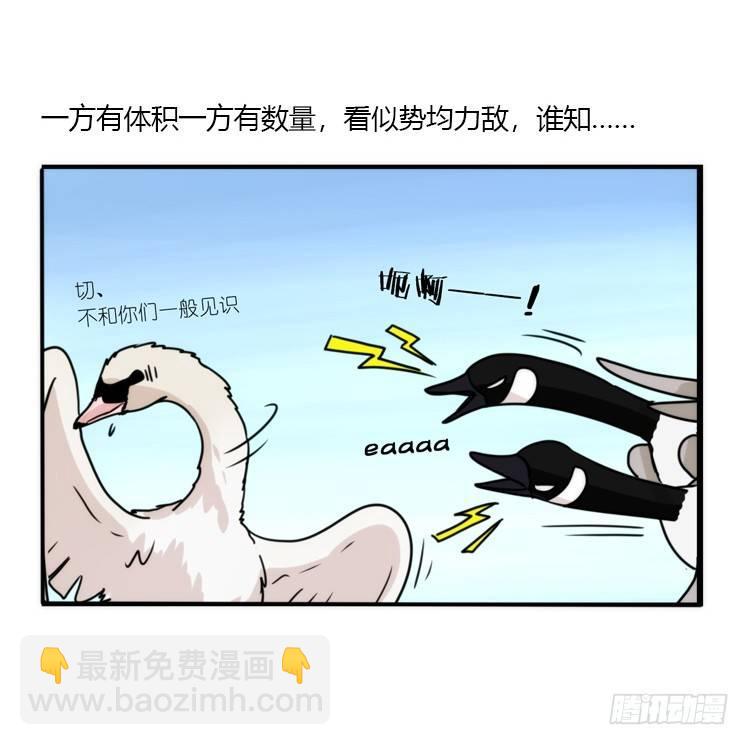 动协在行动18：拯救单身鸟-第111话