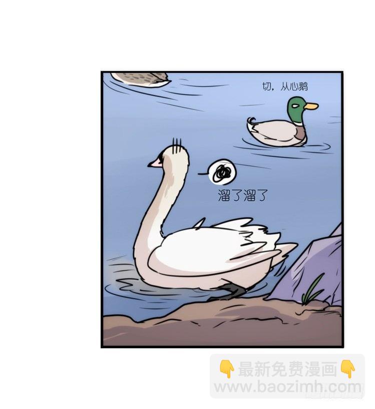 动协在行动18：拯救单身鸟-第111话