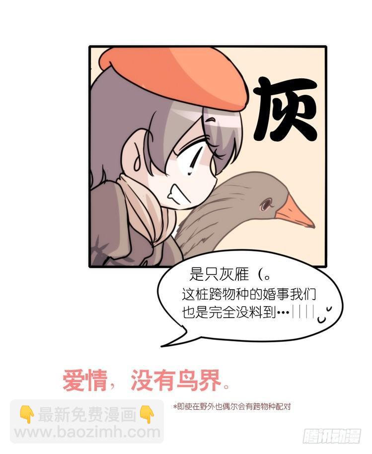 动协在行动20：最好的礼物-第113话