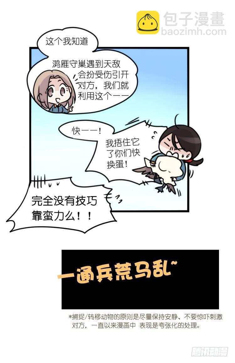 动协在行动20：最好的礼物-第113话