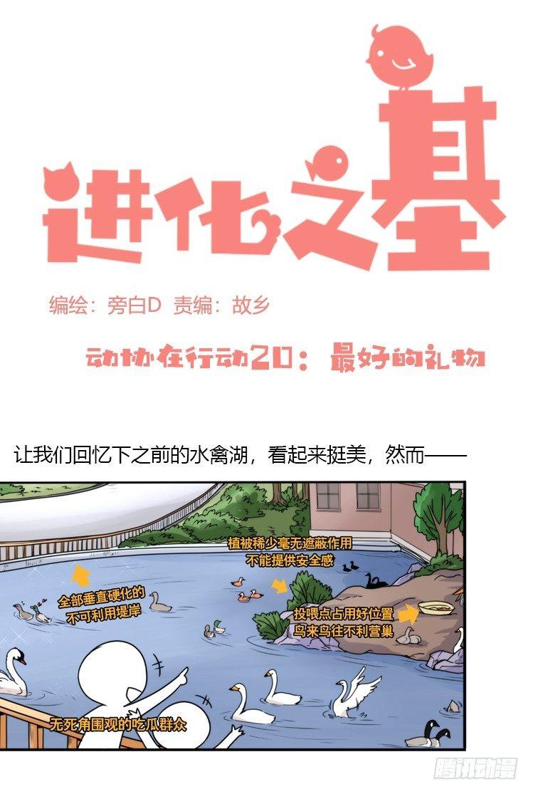 动协在行动20：最好的礼物-第113话