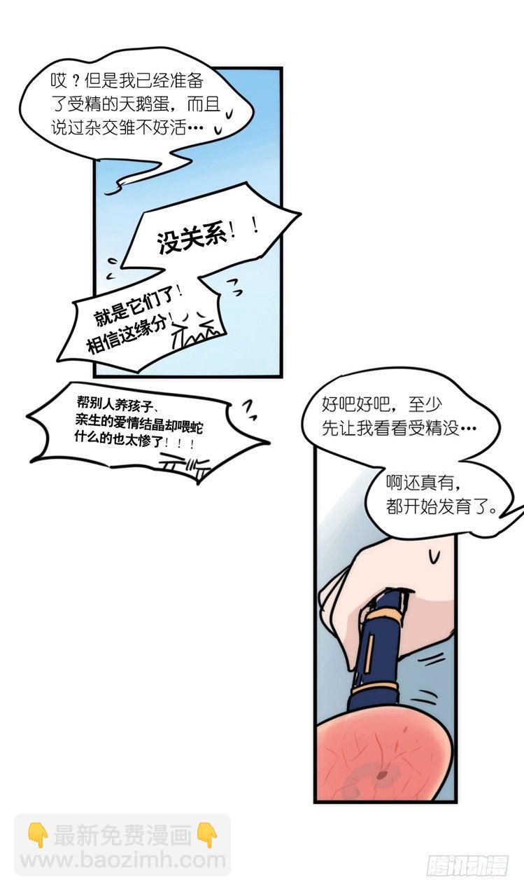 动协在行动20：最好的礼物-第113话