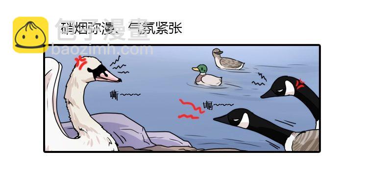 动协在行动20：最好的礼物-第113话