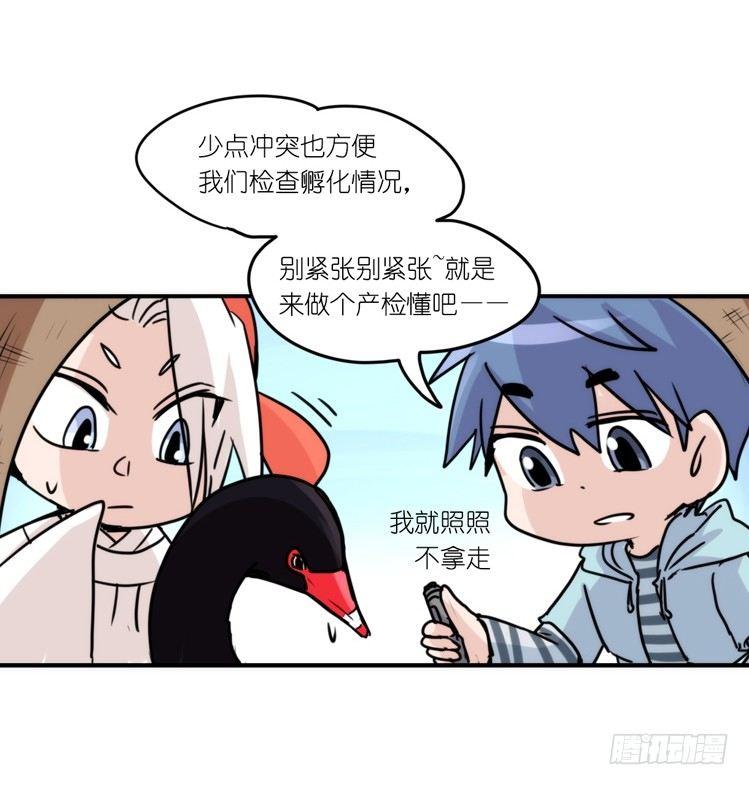 动协在行动20：最好的礼物-第113话