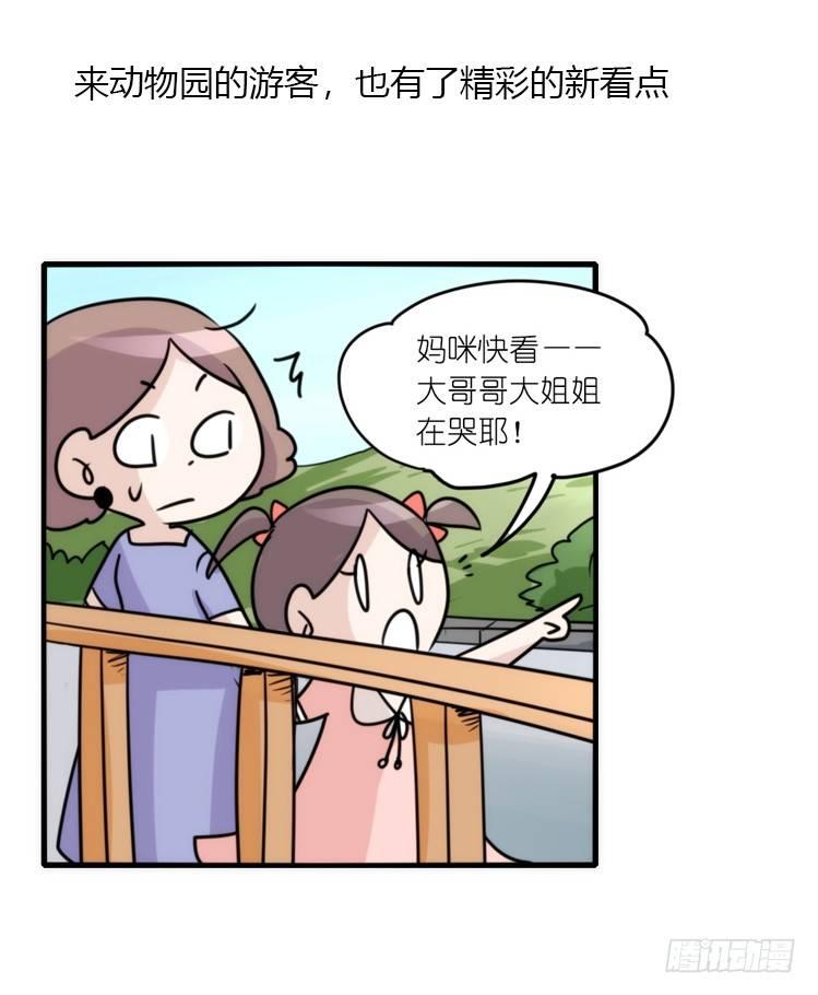 动协在行动20：最好的礼物-第113话