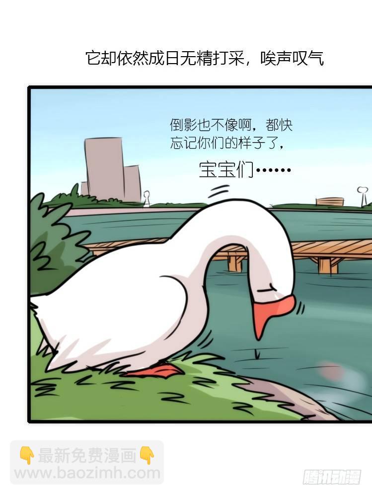 动协在行动24：失踪-第117话