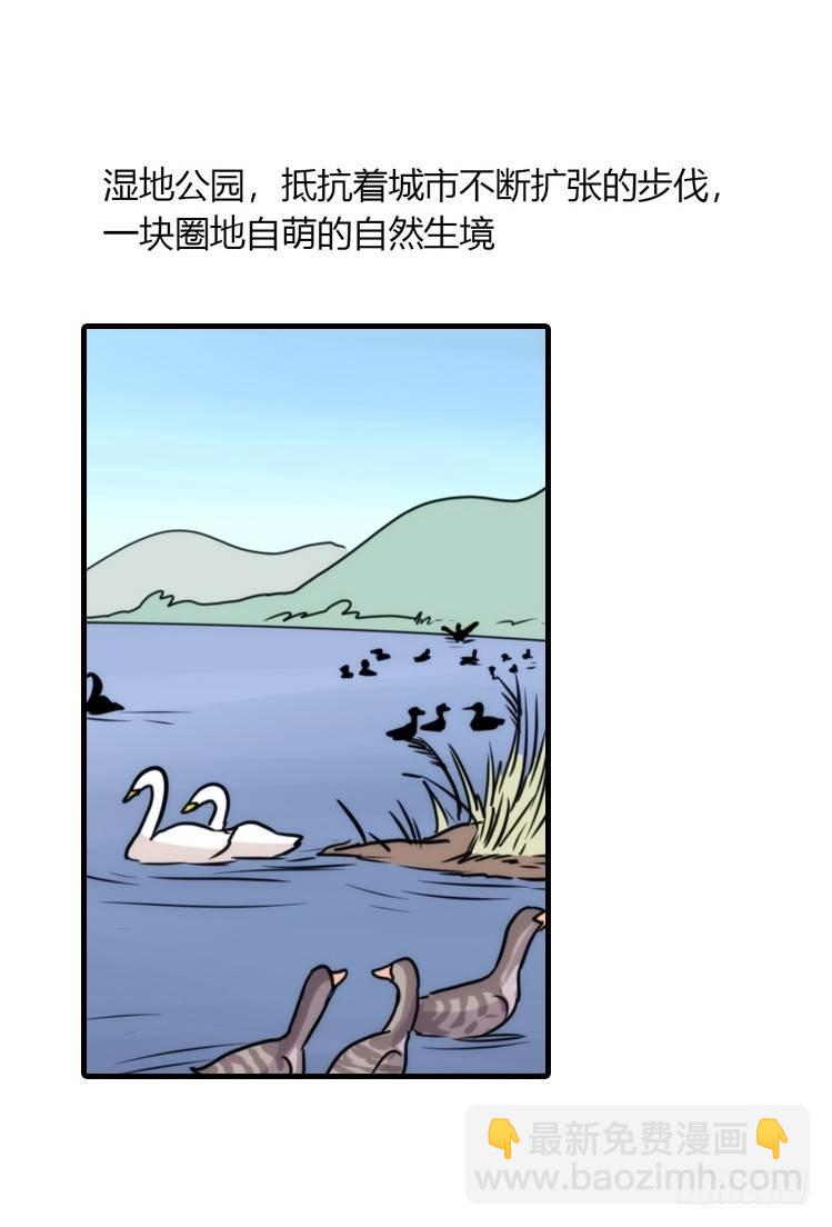 动协在行动24：失踪-第117话