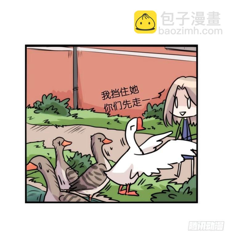 动协在行动24：失踪-第117话